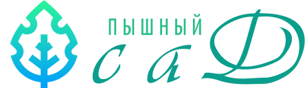 Питомник саженцев {city}